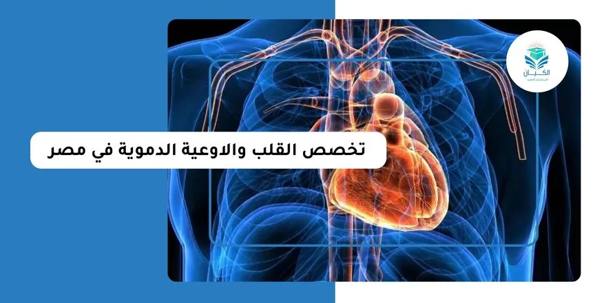 تخصص القلب والاوعية الدموية في مصر