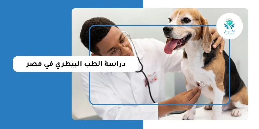 دراسة الطب البيطري في مصر