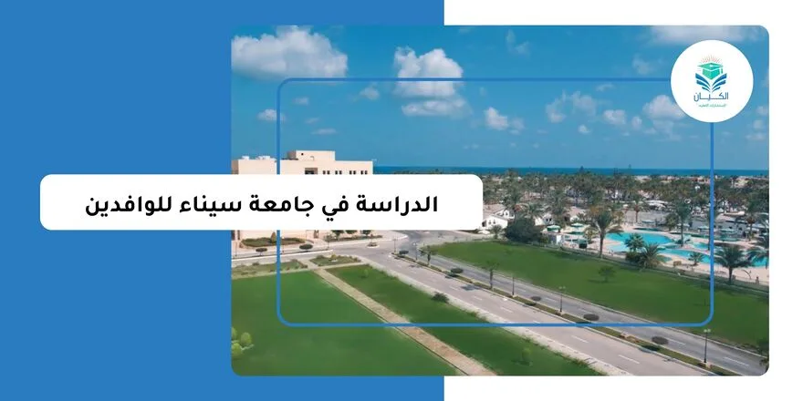 الدراسة في جامعة سيناء للوافدين