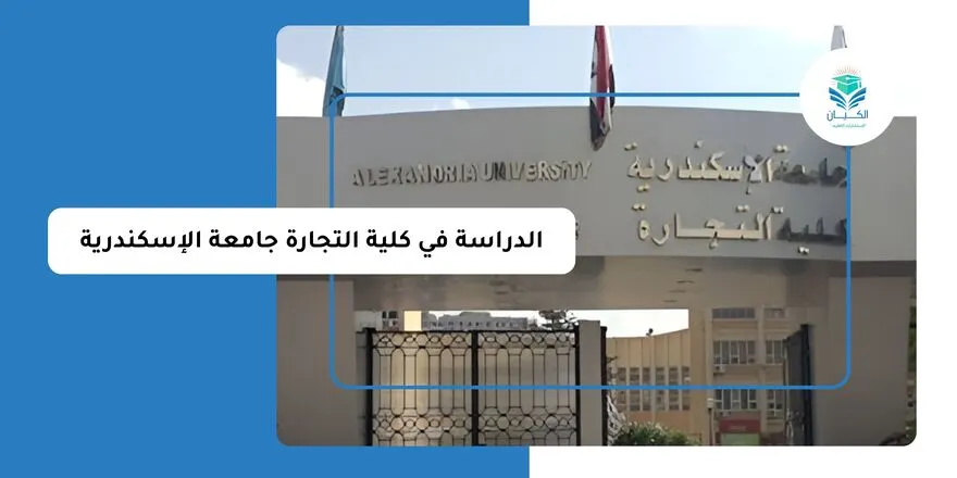 الدراسة في كلية التجارة جامعة الإسكندرية