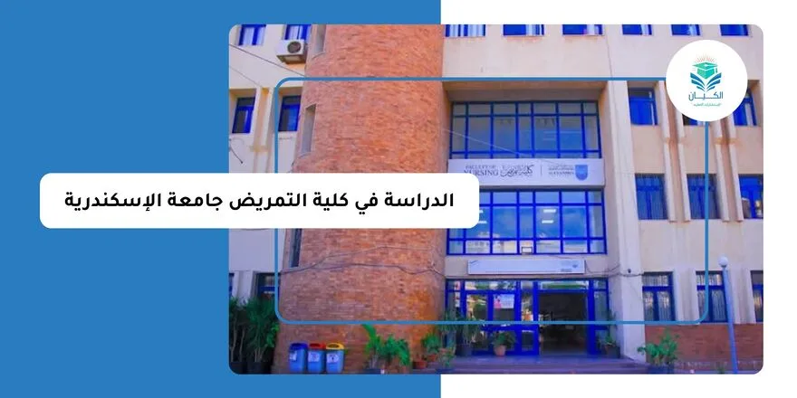 الدراسة في كلية التمريض جامعة الإسكندرية
