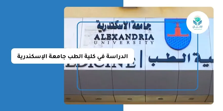 الدراسة في كلية الطب جامعة الإسكندرية