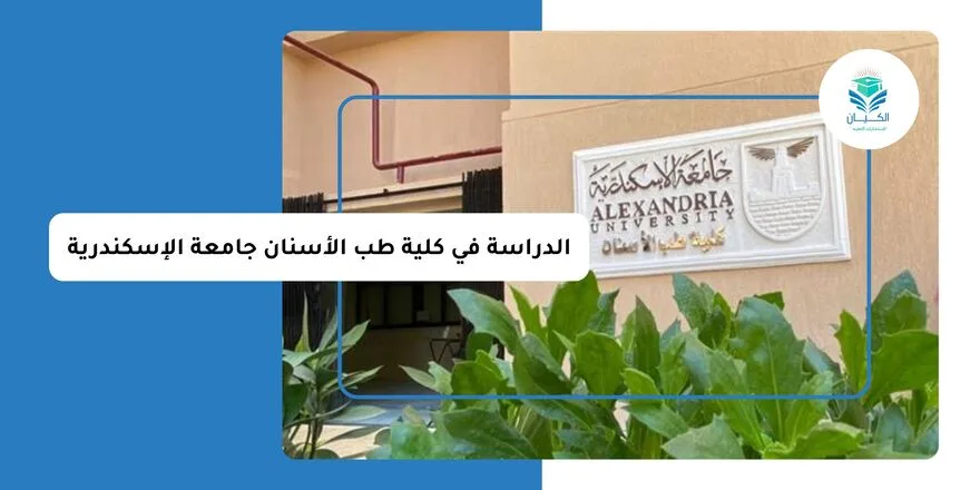 الدراسة في كلية طب الأسنان جامعة الإسكندرية