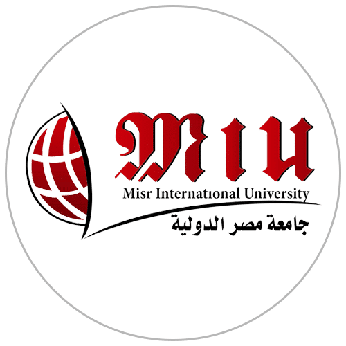 جامعة مصر الدولية