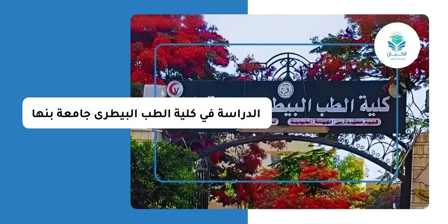 الدراسة في كلية الطب البيطرى جامعة بنها
