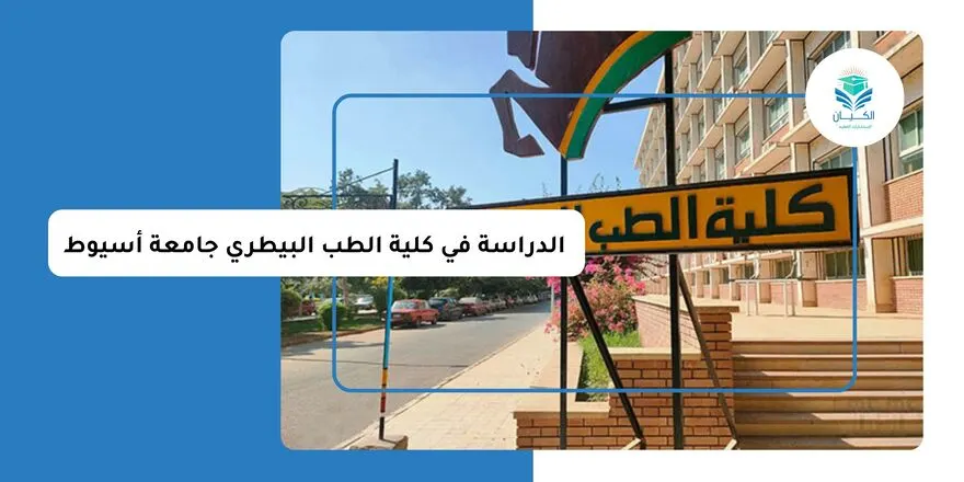 الدراسة في كلية الطب البيطري جامعة أسيوط