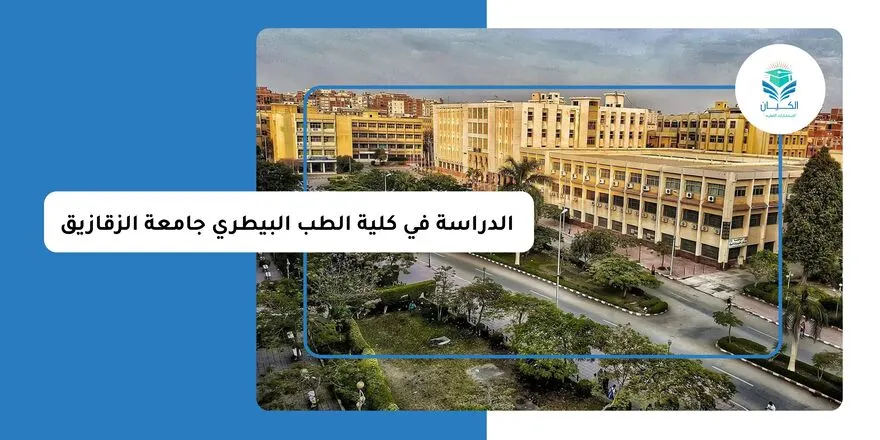 الدراسة في كلية الطب البيطري جامعة الزقازيق