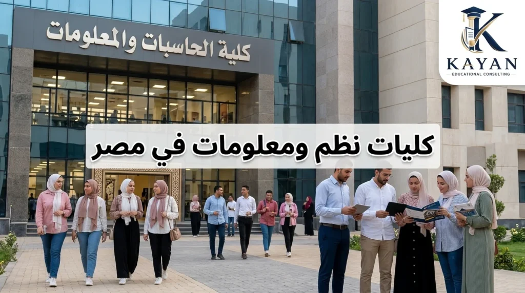 كليات نظم ومعلومات في مصر